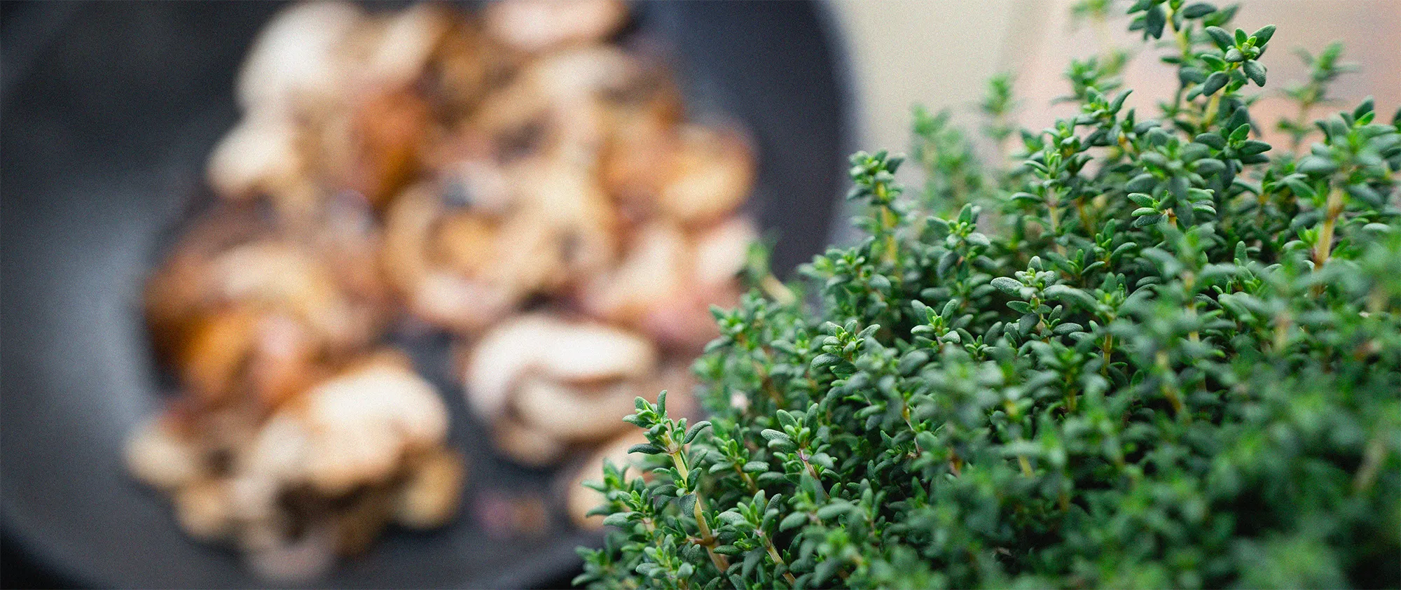 Eine Thymian Pflanze steht rechts im Bild im Fokus während links im Bild im Hintergrund Pilze angebraten werden.