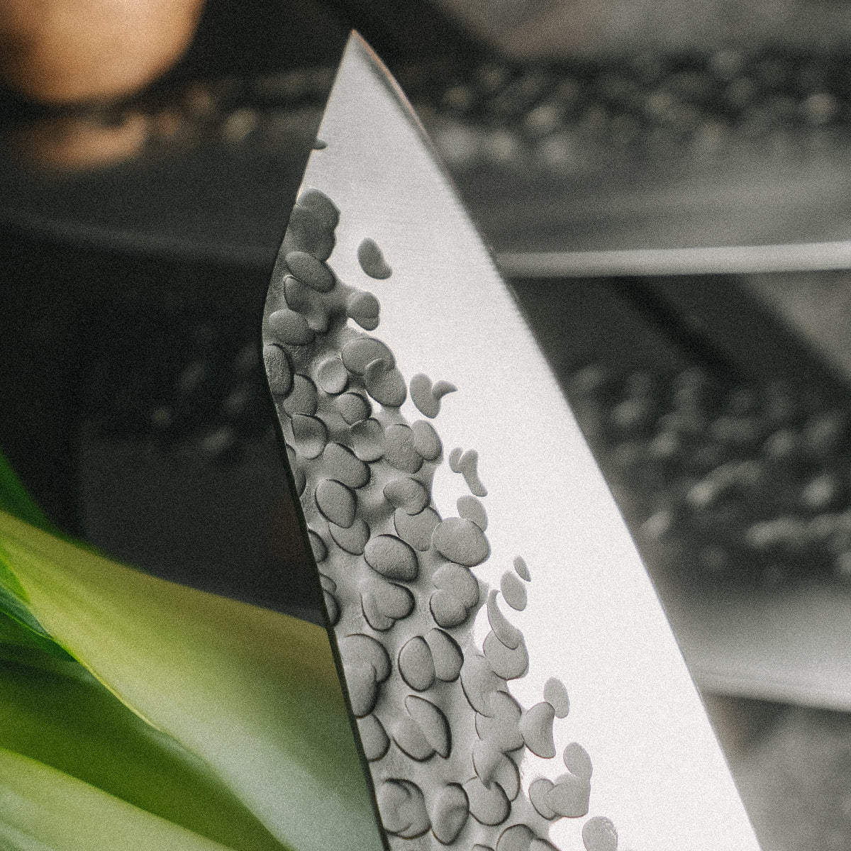 Das FIVI Kiritsukemesser YUKI auf Pak Choi